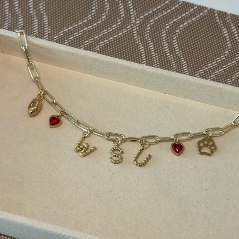 WASU Charm necklace